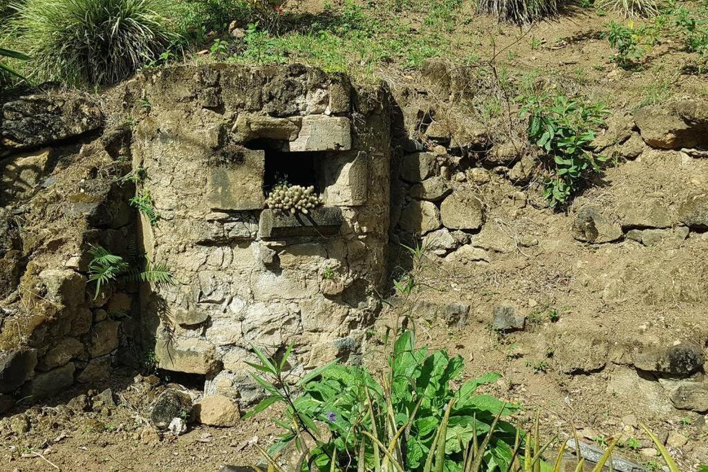 バイイフ Le Pitayaヴィラ エクステリア 写真